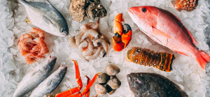 Gürme Deniz Ürünleri Gürme Deniz Ürünleri